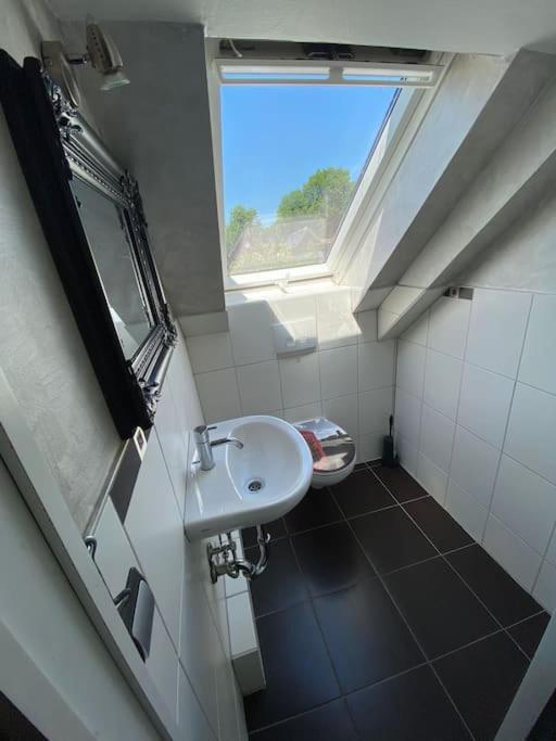 Ferien-Villa Direkt Am Rhein Sauna/Whirlpool Gotterswickerhamm Kültér fotó
